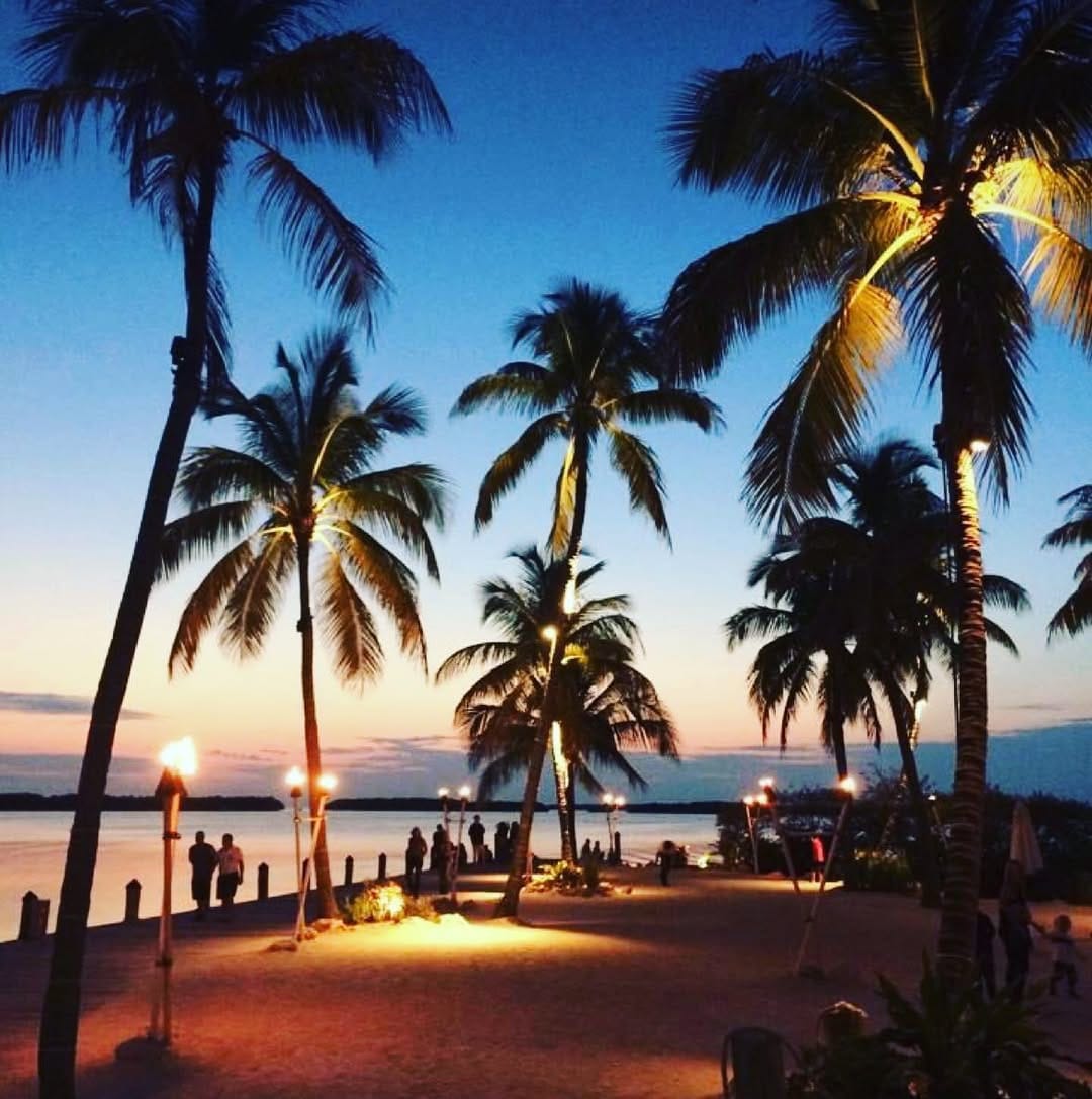 Post 8 by MONOO LONDON on Instagram (image)