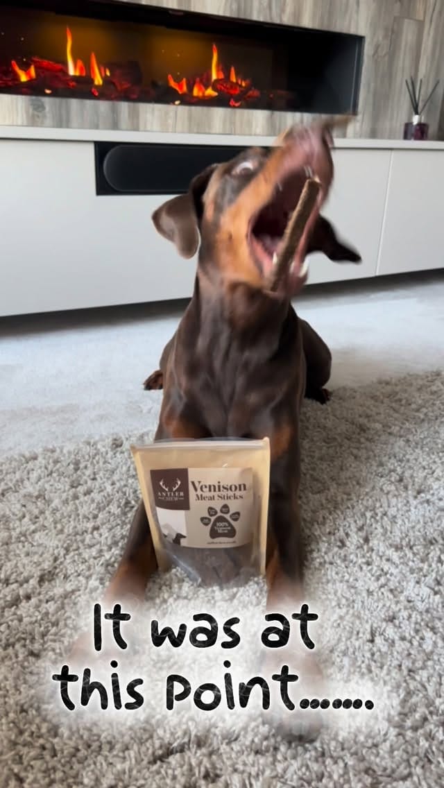 Post 5 by Antler Chew on Instagram (video)