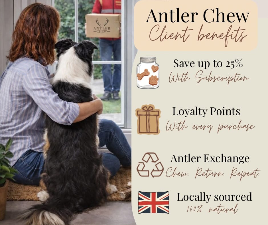 Post 4 by Antler Chew on Instagram (image)