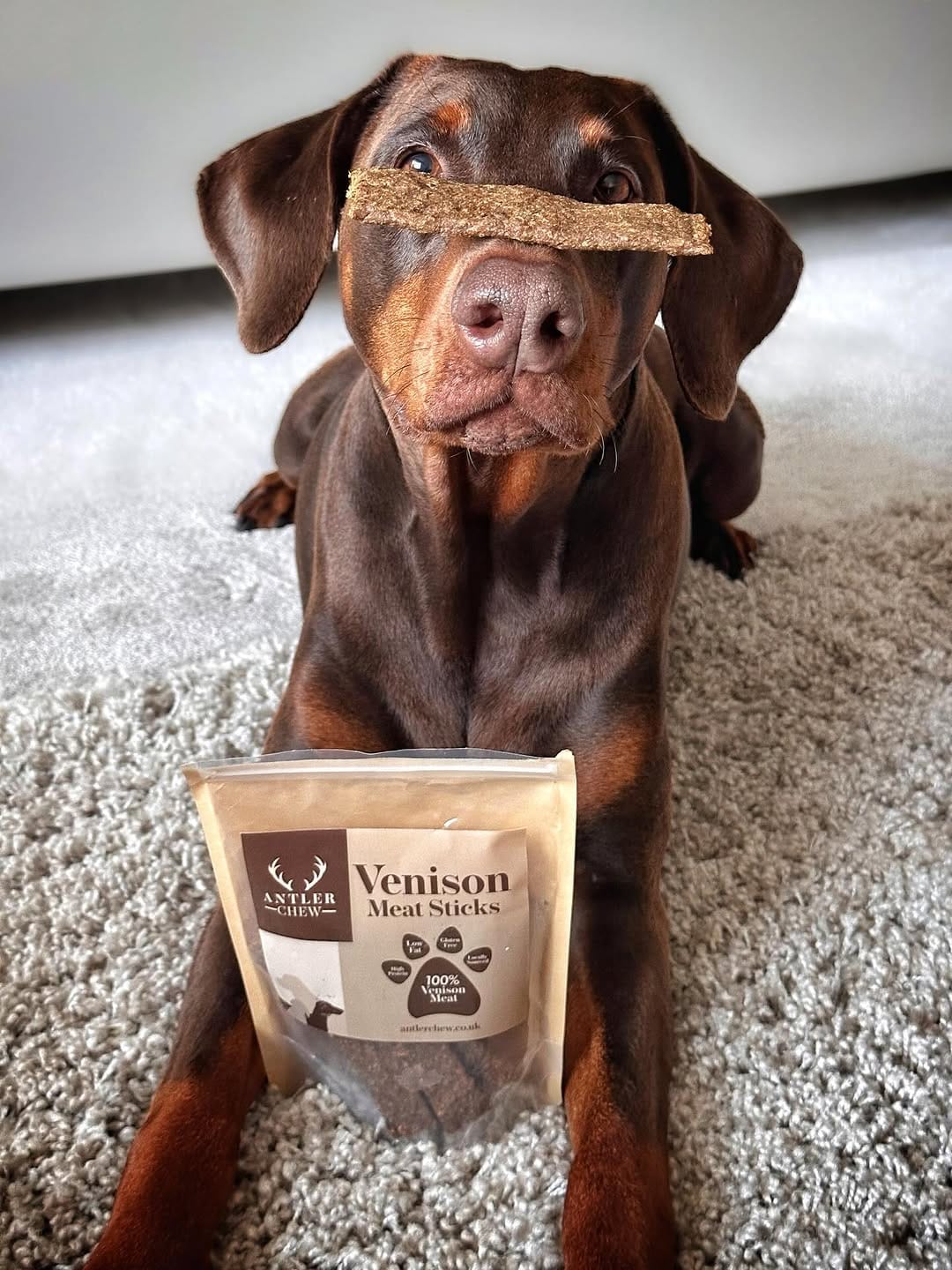 Post 6 by Antler Chew on Instagram (carousel)