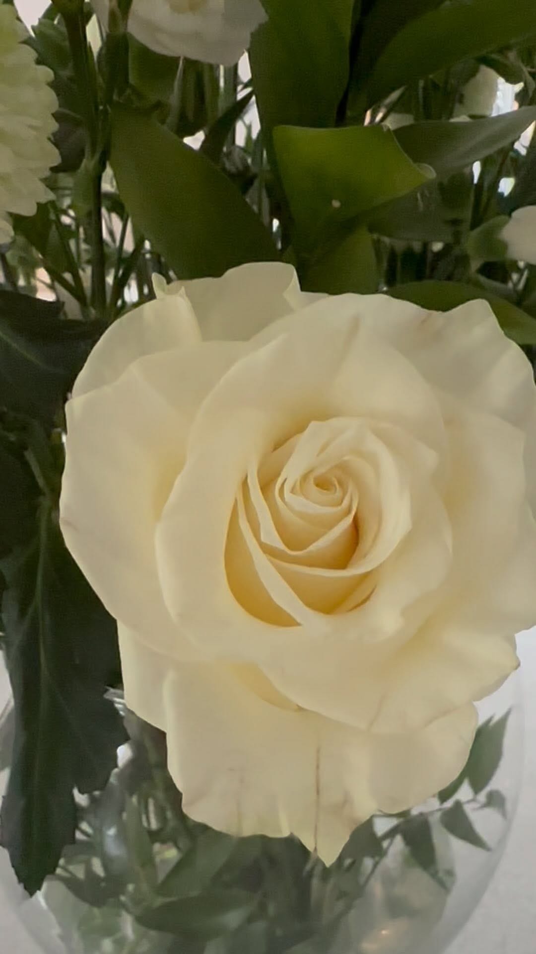 Post 5 by Kerry Home Styling on Instagram (video)
