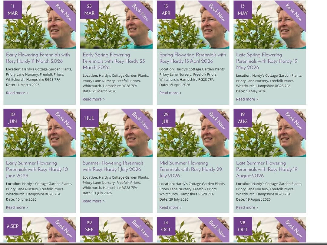 Post 8 by Hardy's Plants on Instagram (image)