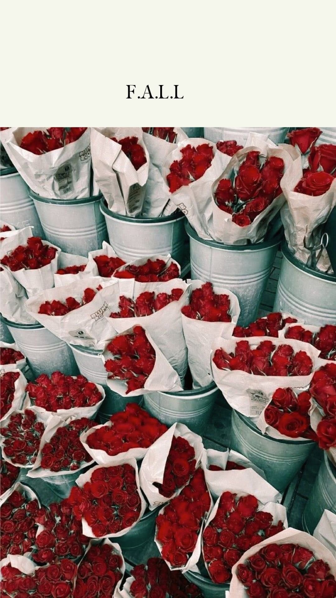Post 8 by Olive & Bette's | Concept Store on Instagram (video)