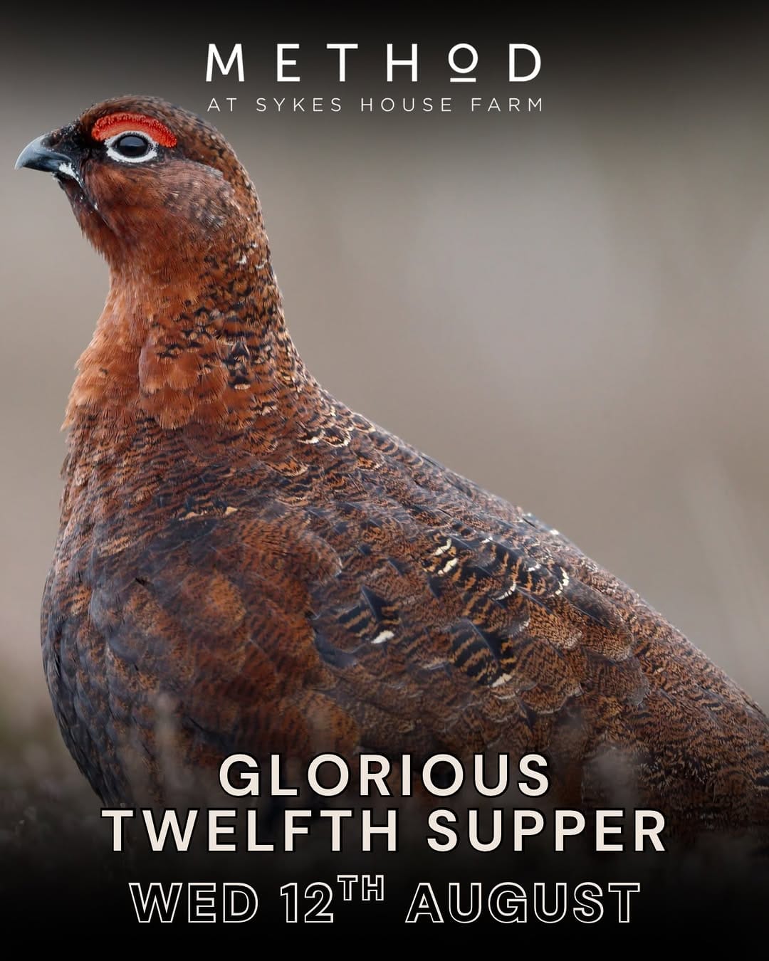 Post 1 by Sykes House Farm | Chef’s Butcher on Instagram (image)