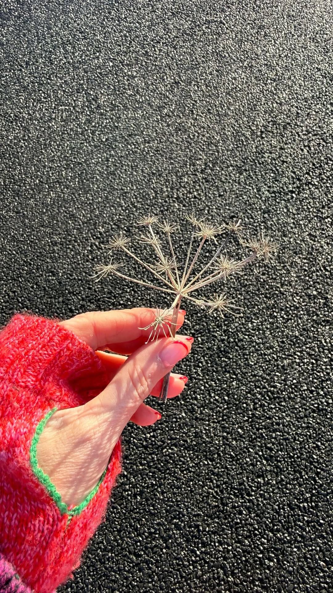 Post 1 by Stacey Grant-Canham on Instagram (video)