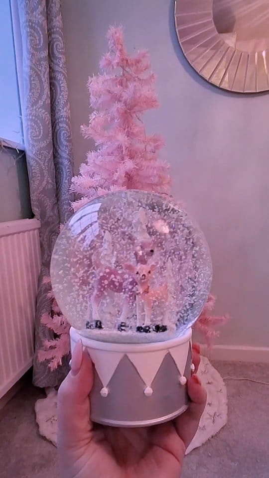 Post 6 by ♡𝓡𝓸𝔁𝓲𝓮 𝓢𝔀𝓮𝓮𝓽𝓱𝓮𝓪𝓻𝓽 ♡ on Instagram (video)