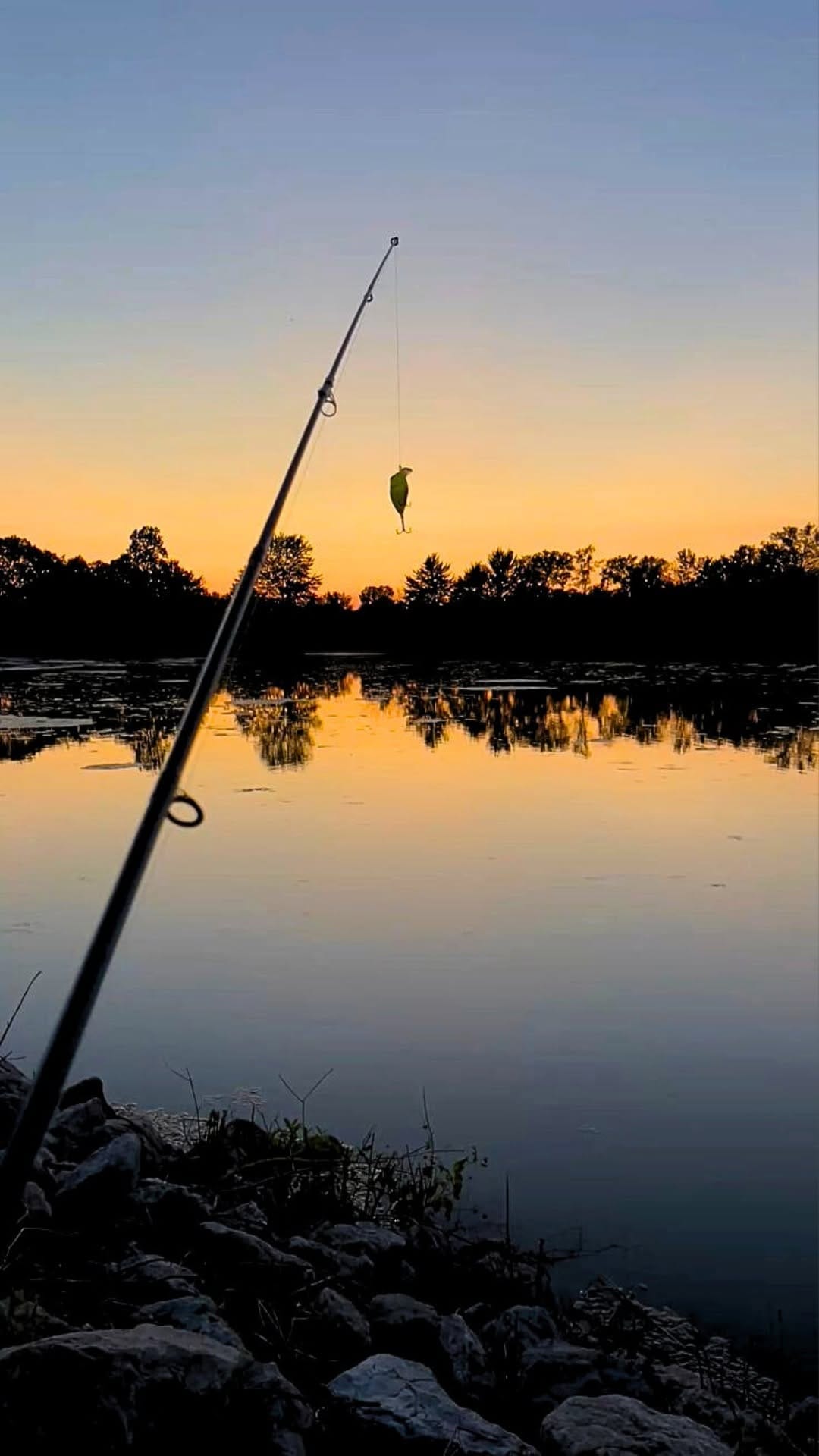 Post 9 by Taskers Angling Store on Instagram (video)