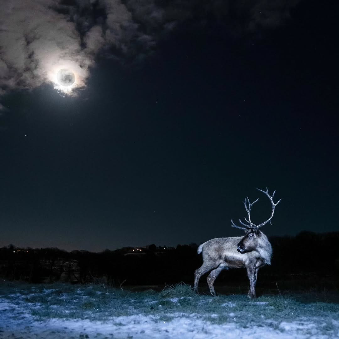 Post 4 by Robert Morgan on Instagram (image)
