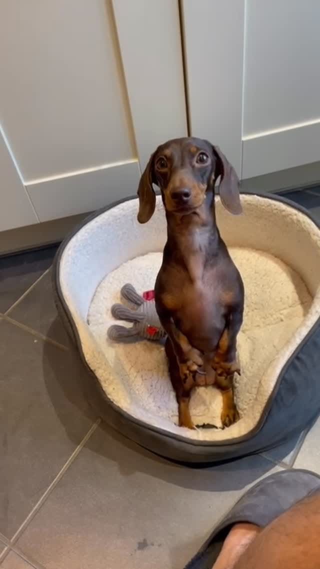 Post 7 by Audrey on Instagram (video)
