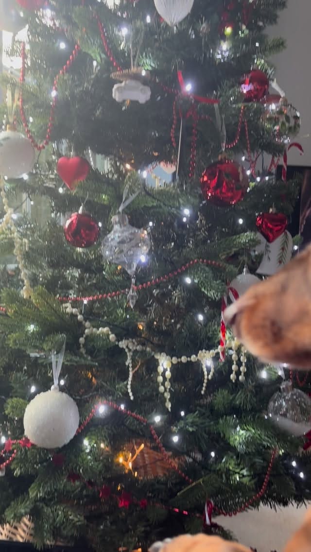 Post 5 by Audrey on Instagram (video)