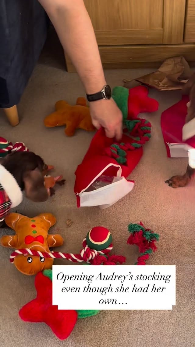 Post 3 by Audrey on Instagram (video)