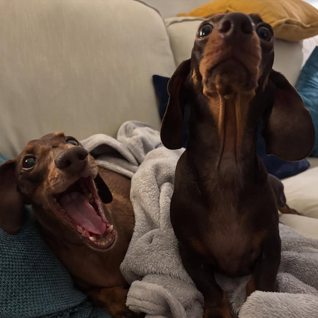 Post 9 by Audrey on Instagram (image)