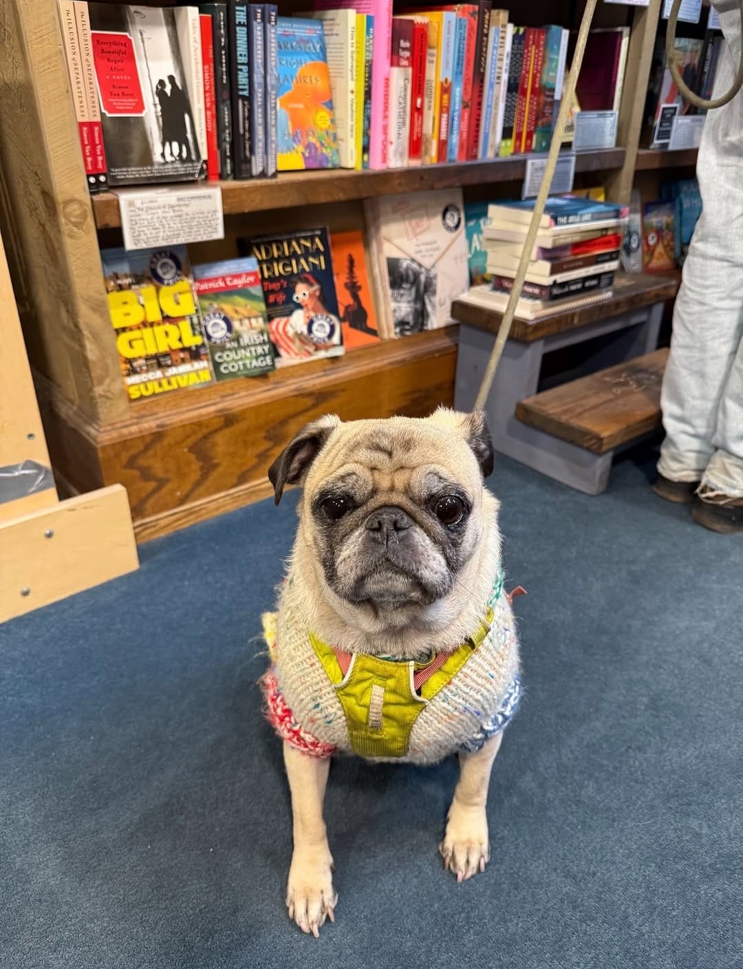 Post 1 by Northshire Bookstore on Instagram (carousel)