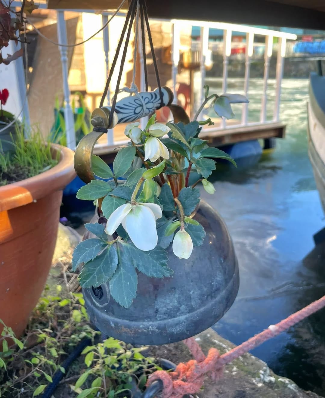 Post 5 by Word on the Water - The London Bookbarge on Instagram (image)