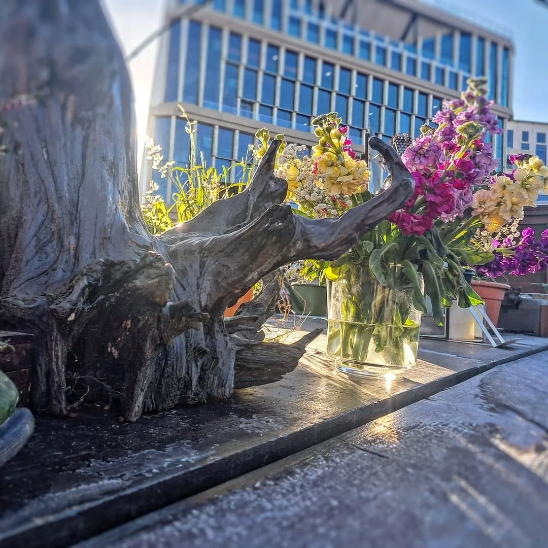Post 6 by Word on the Water - The London Bookbarge on Instagram (carousel)
