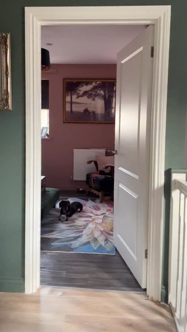 Post 3 by Rachel Pridmore on Instagram (video)