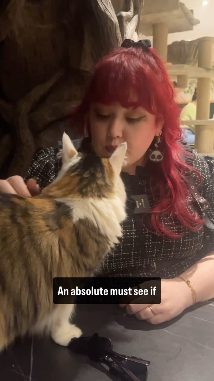 Post 9 by Andii Melody Mae on Instagram (video)