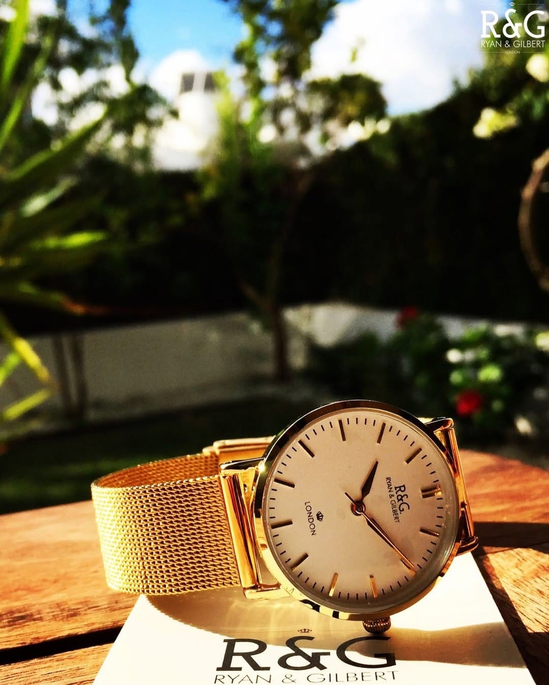 Post 1 by Ryan & Gilbert ™ on Instagram (image)