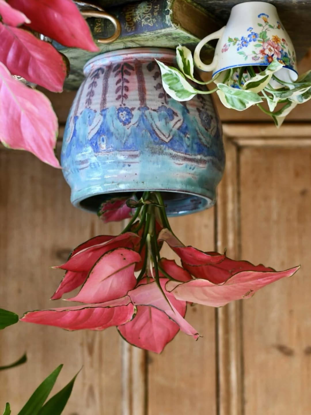 Post 4 by Happy Houseplants ™️ on Instagram (image)