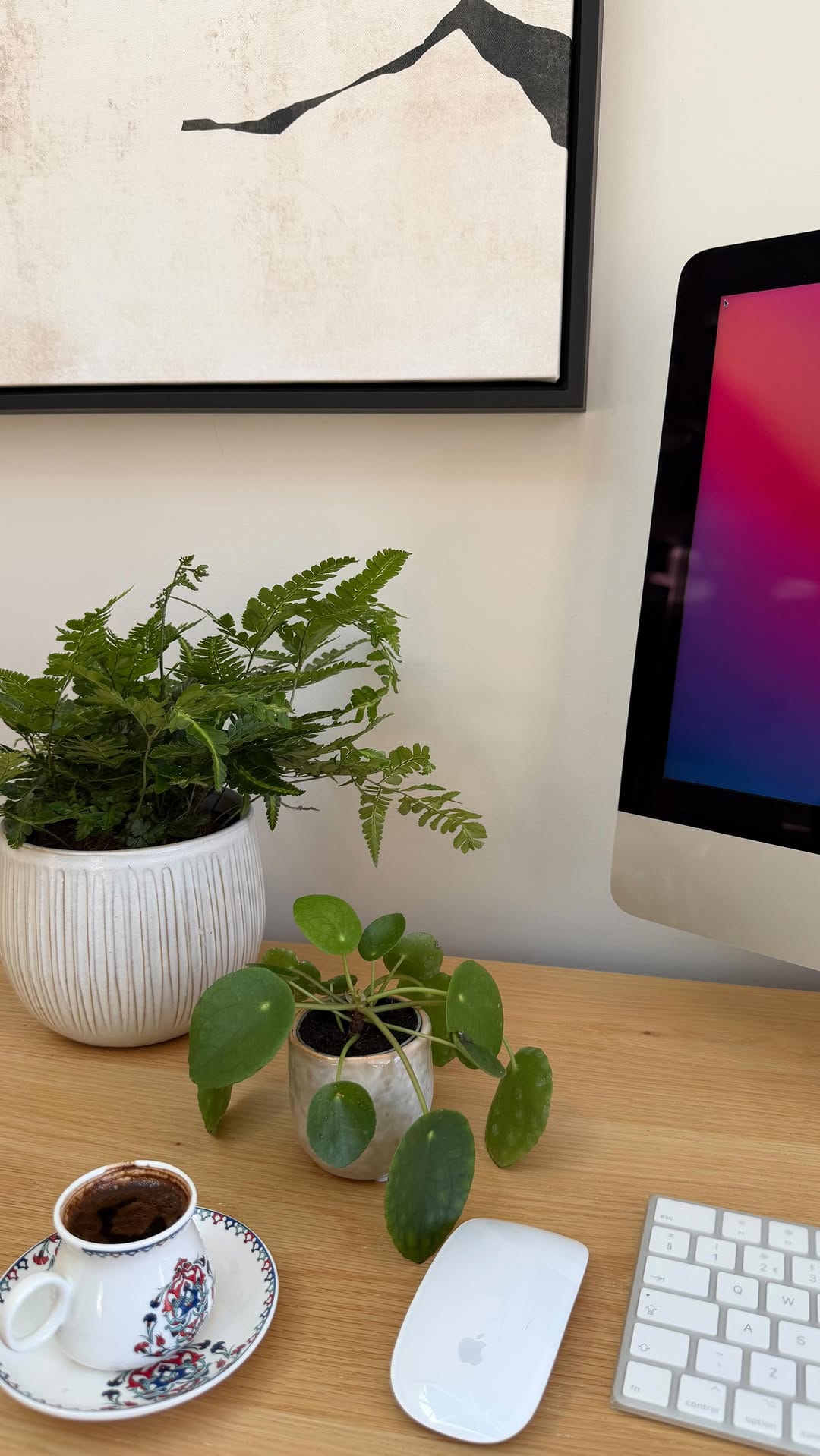 Post 5 by Happy Houseplants ™️ on Instagram (video)