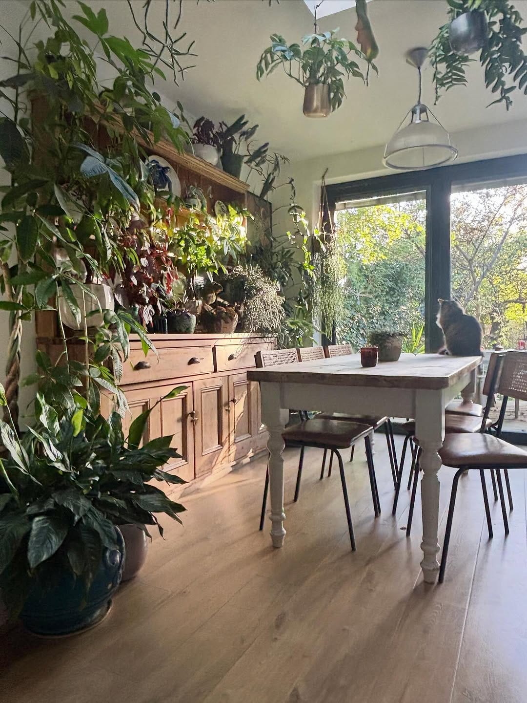 Post 8 by Happy Houseplants ™️ on Instagram (image)