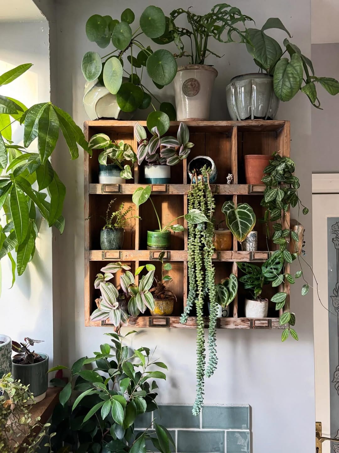 Post 6 by Happy Houseplants ™️ on Instagram (carousel)