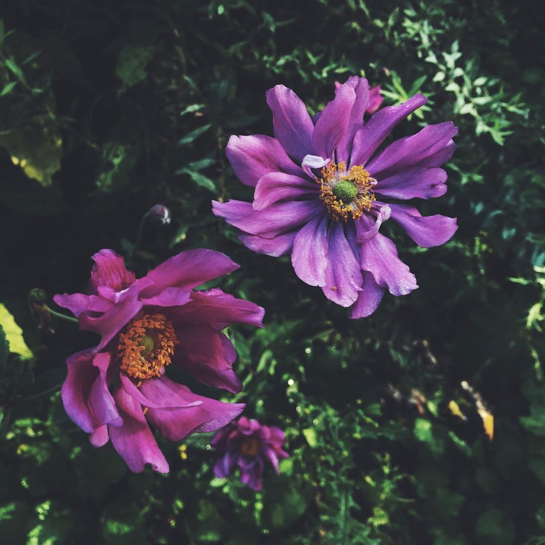 Post 5 by Reflect & Repeat 🌸 on Instagram (image)