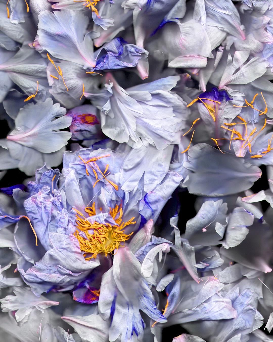 Post 10 by Reflect & Repeat 🌸 on Instagram (image)