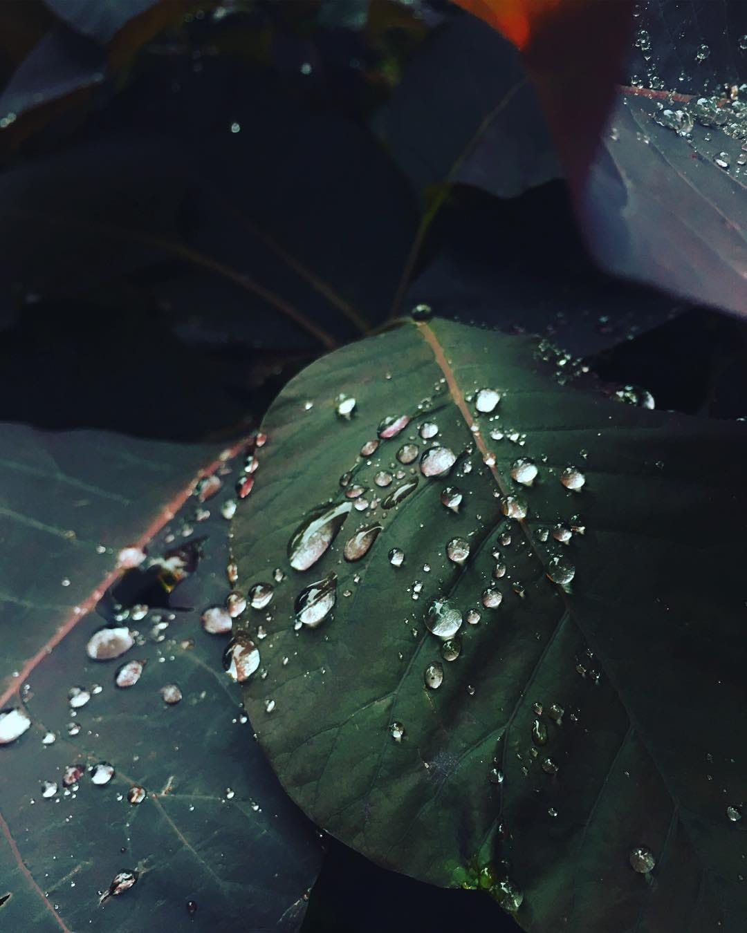 Post 9 by Reflect & Repeat 🌸 on Instagram (image)