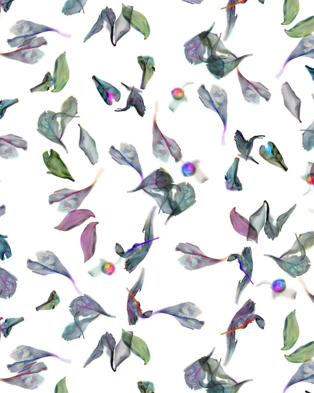 Post 2 by Reflect & Repeat 🌸 on Instagram (image)