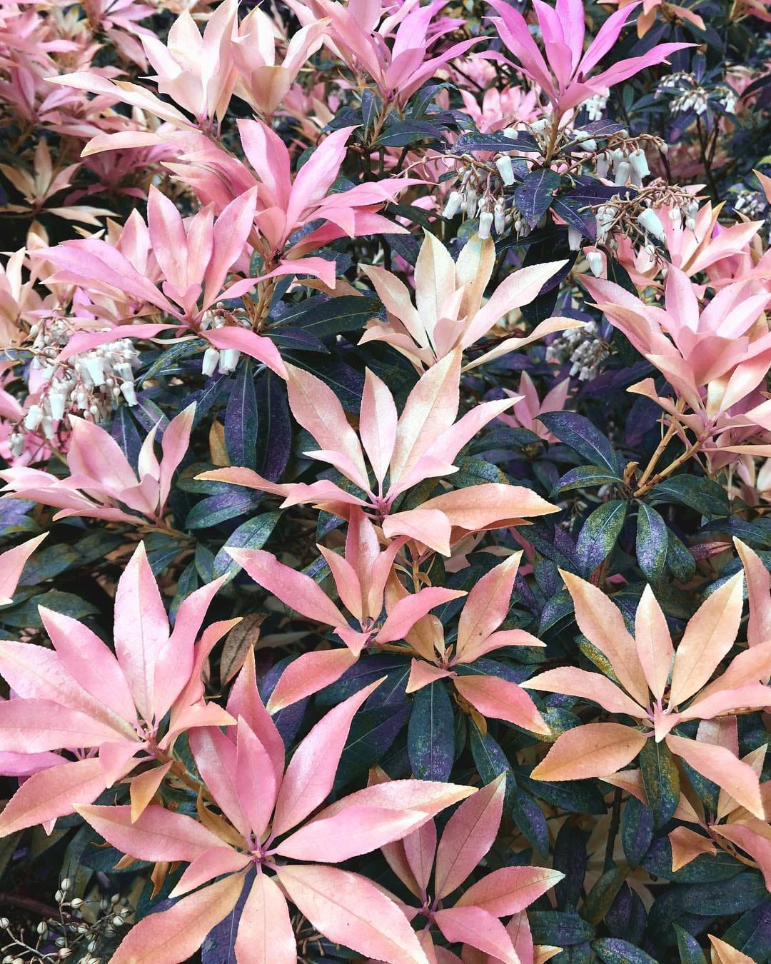 Post 3 by Reflect & Repeat 🌸 on Instagram (image)