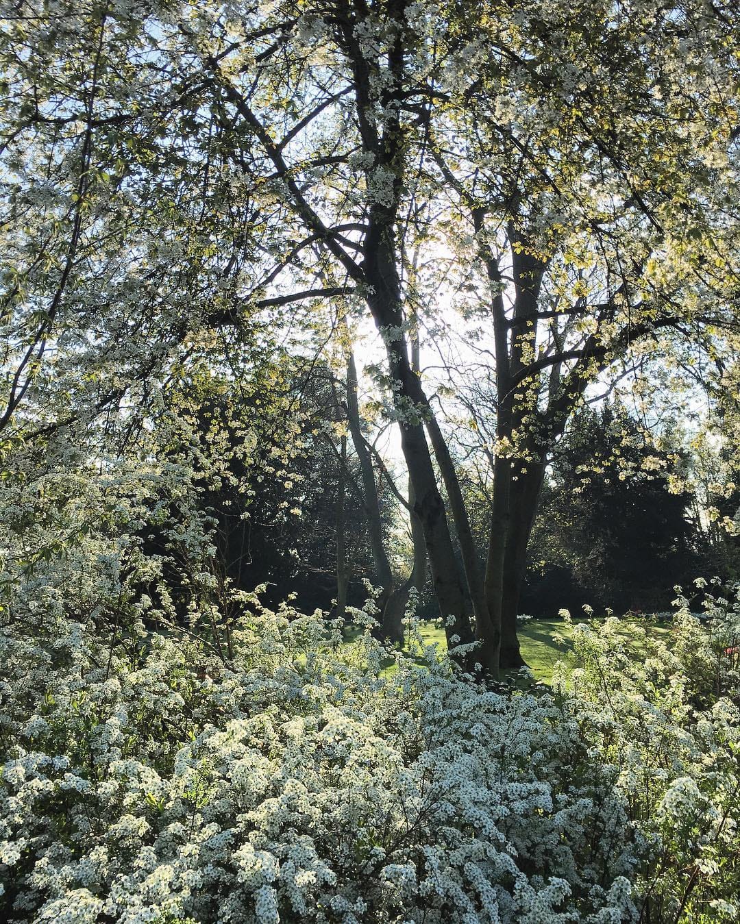 Post 8 by Reflect & Repeat 🌸 on Instagram (image)