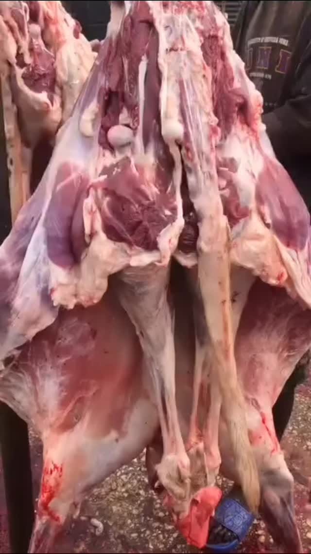 Post 2 by Abuja’s #1 Fresh Meat, Frozen Foods, Foodstuff & Nigeria Exports on Instagram (video)