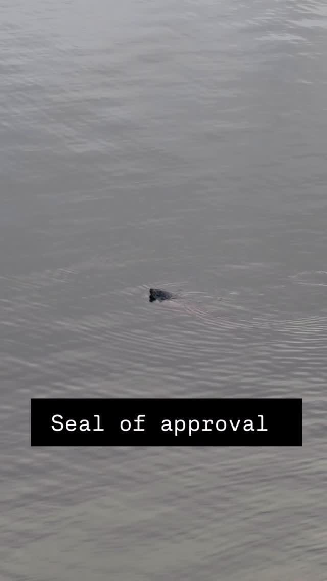 Post 9 by RideScotland on Instagram (video)