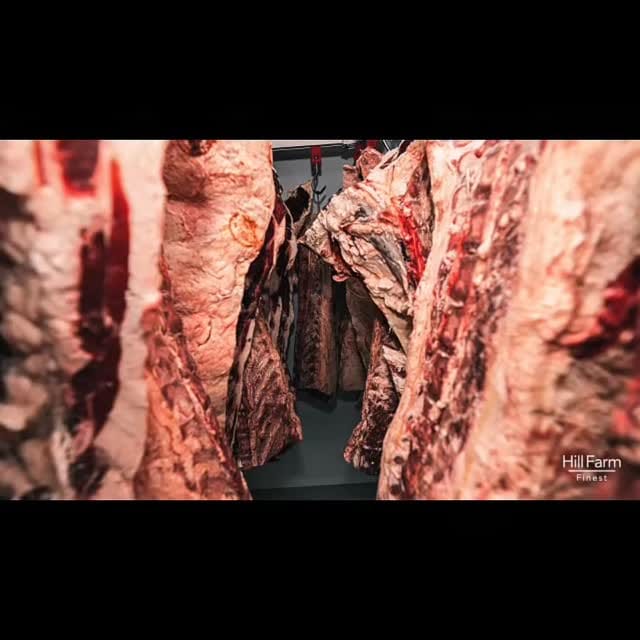 Post 1 by hillfarmfinest TM on Instagram (video)