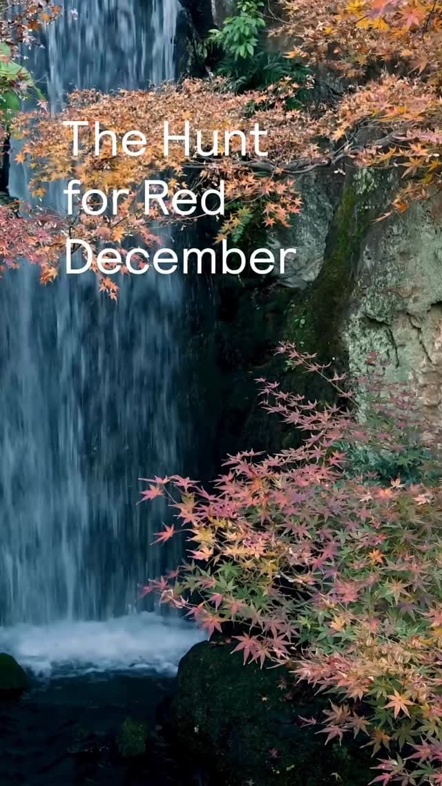 Post 4 by Niwaki on Instagram (video)