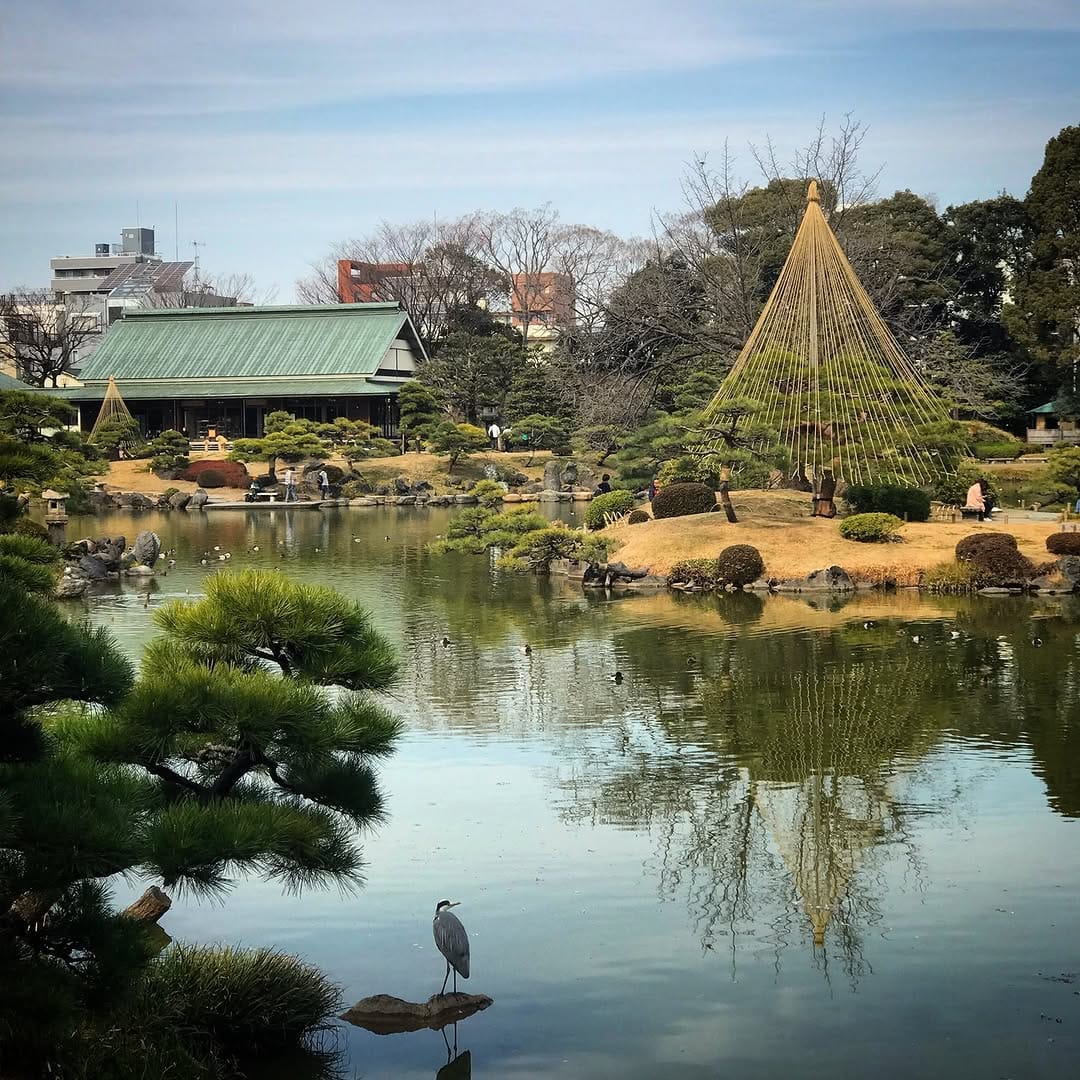 Post 10 by Niwaki on Instagram (image)