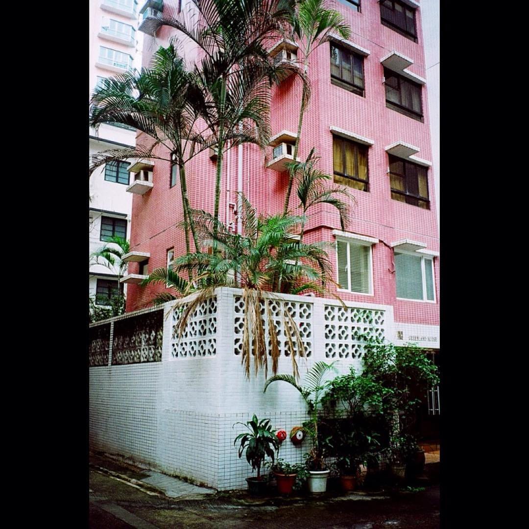 Post 4 by Lion & Co on Instagram (image)
