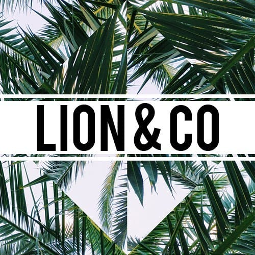 Post 1 by Lion & Co on Instagram (image)