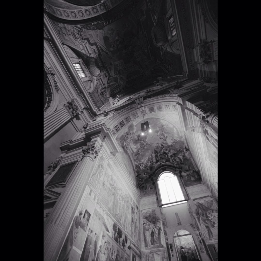 Post 8 by Lion & Co on Instagram (image)