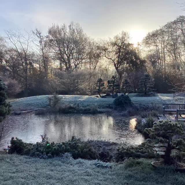 Post 7 by Herons Bonsai Nursery on Instagram (video)