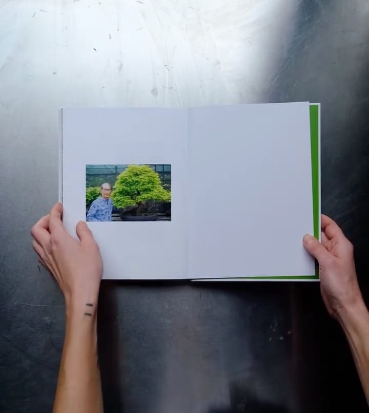 Post 6 by Herons Bonsai Nursery on Instagram (video)