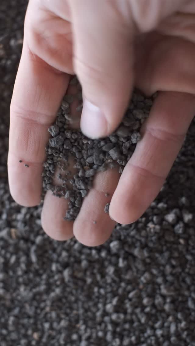 Post 2 by Herons Bonsai Nursery on Instagram (video)