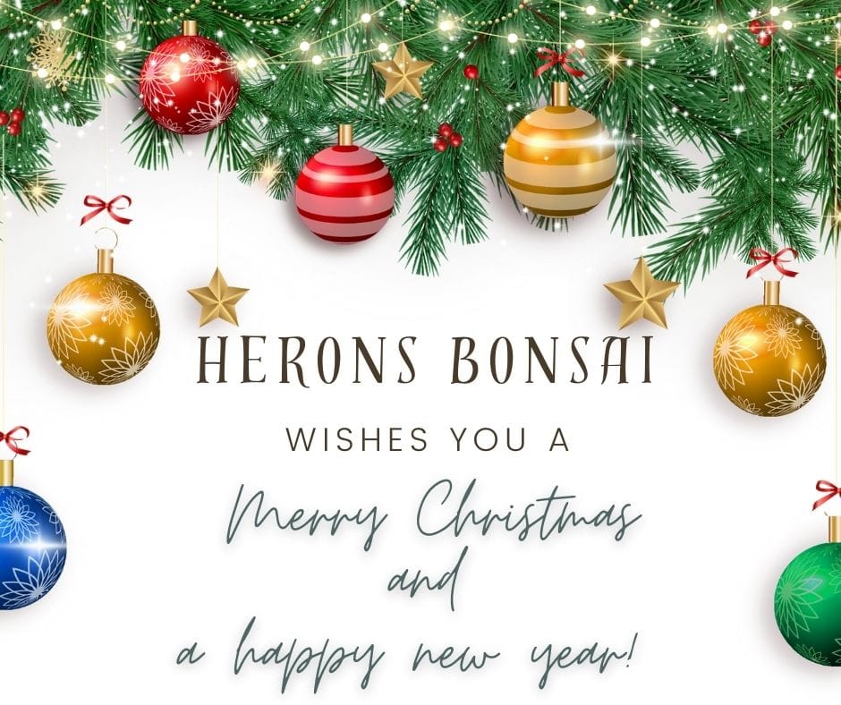 Post 3 by Herons Bonsai Nursery on Instagram (image)