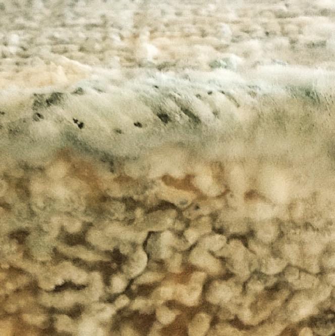 Post 1 by Neal's Yard Dairy on Instagram (image)