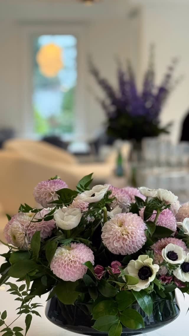 Post 6 by Wendy Haedrich Siegel on Instagram (video)