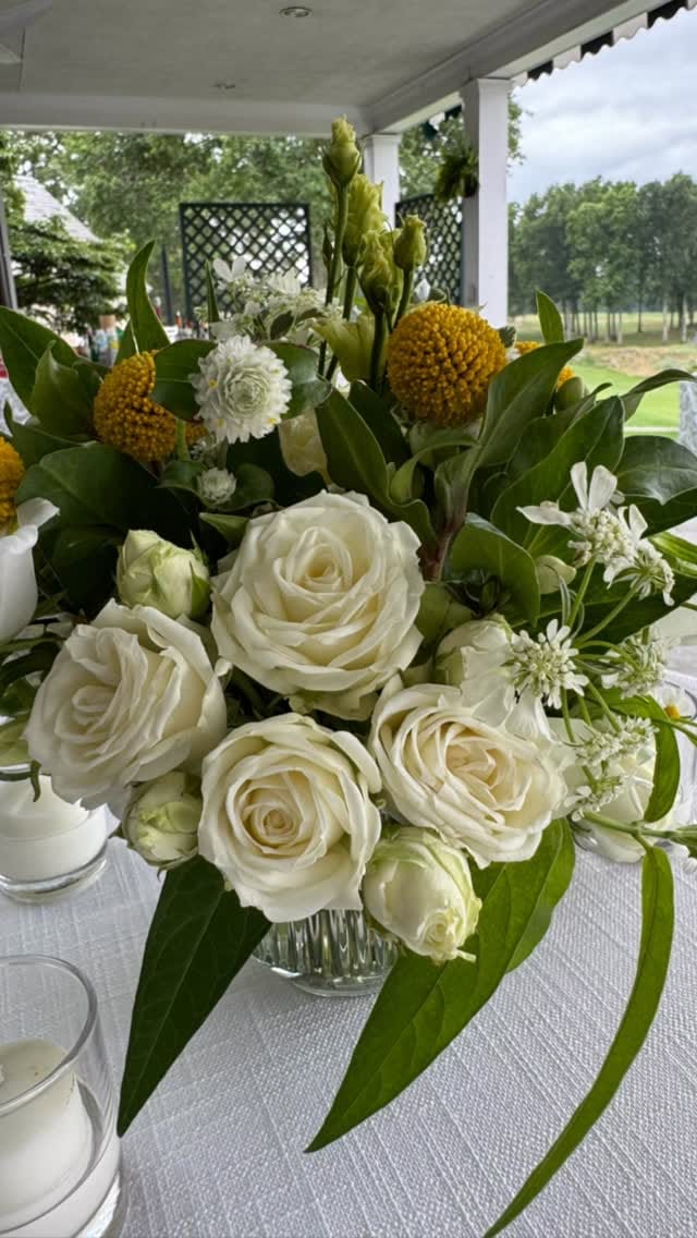 Post 7 by Wendy Haedrich Siegel on Instagram (video)