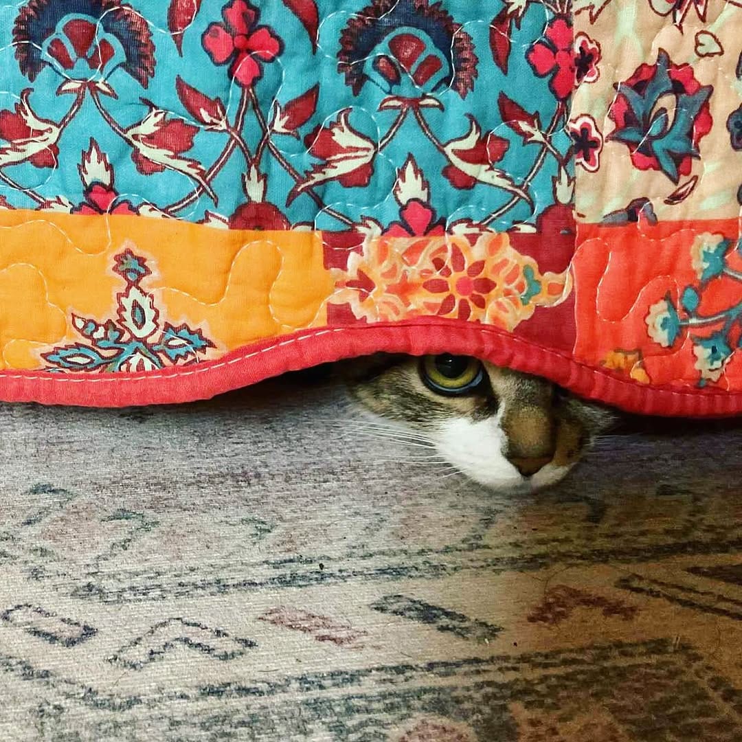 Post 5 by ShopRua on Instagram (image)