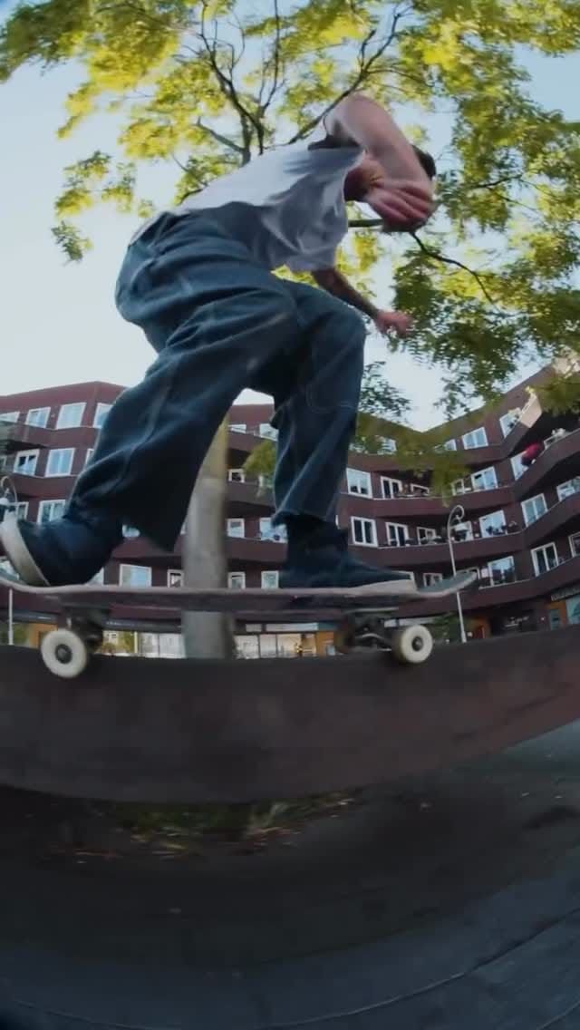 Post 5 by No Chaos Store™ on Instagram (video)