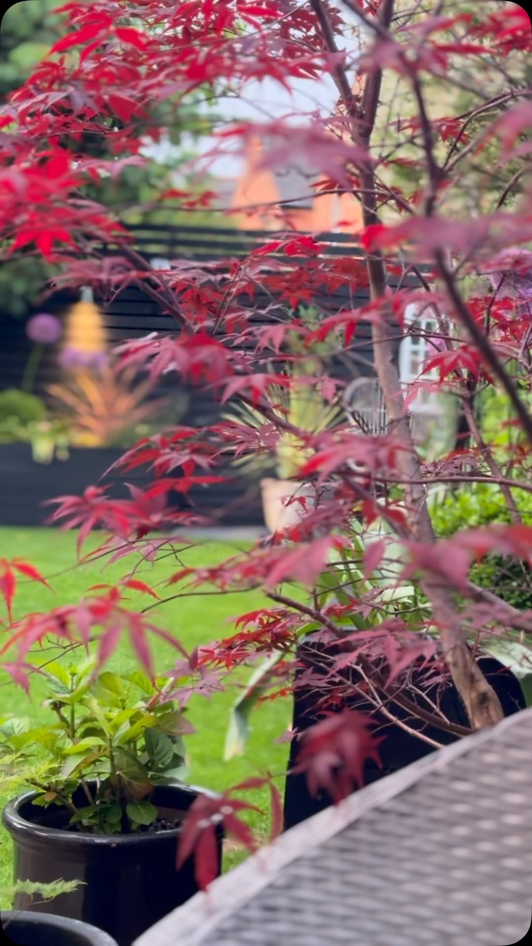 Post 1 by Liam and Warren on Instagram (video)